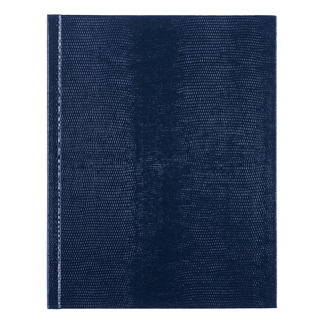 Executive Journal#color_blue