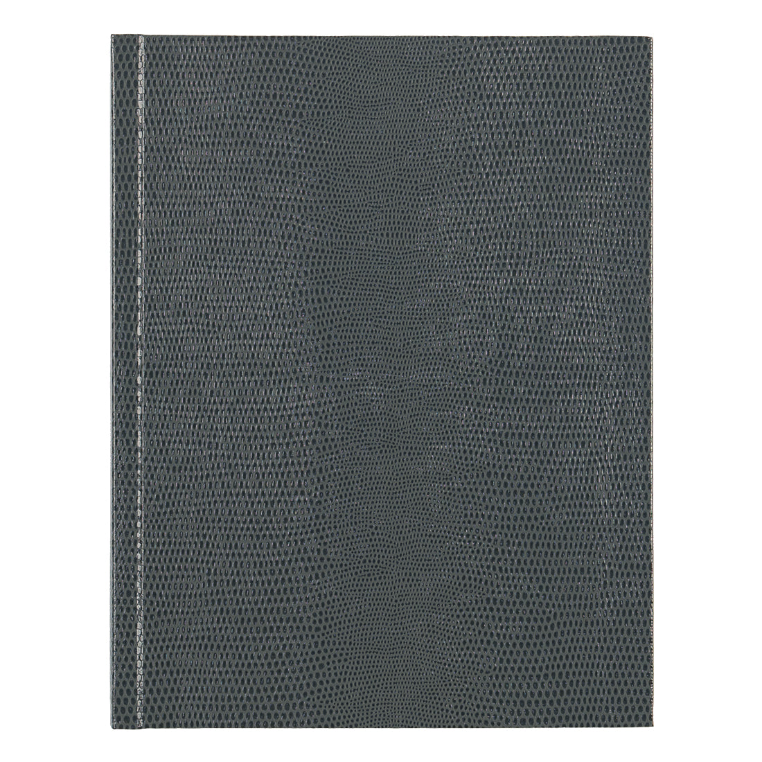 Executive Journal#color_gray