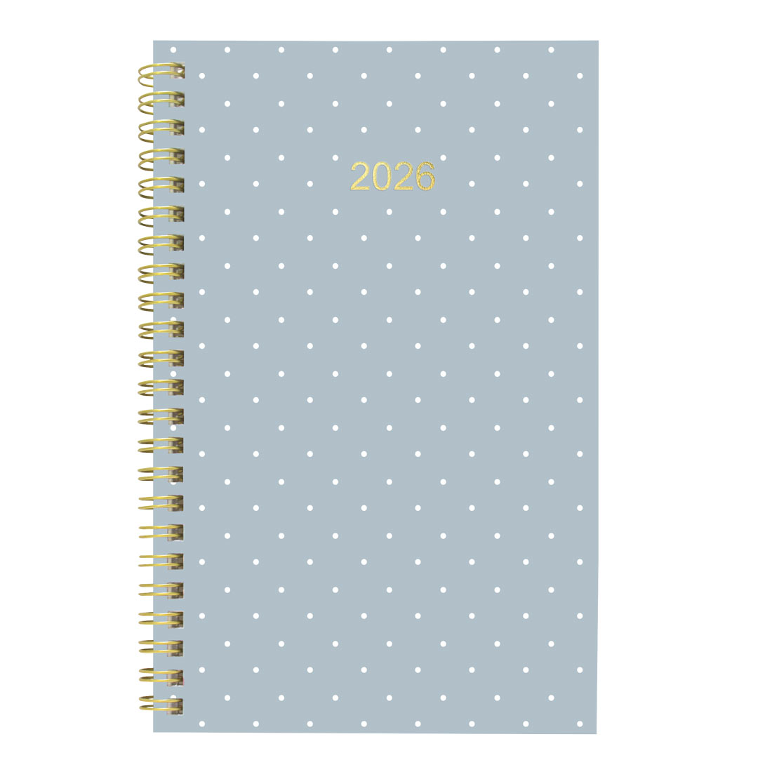 Blueline Minimalist Weekly/Monthly Planner 2026 C101PT.ASX-26