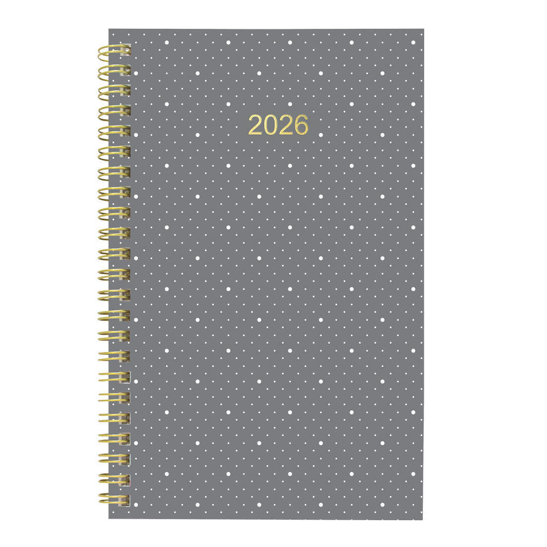 Blueline Minimalist Weekly/Monthly Planner 2026 C101PT.ASX-26
