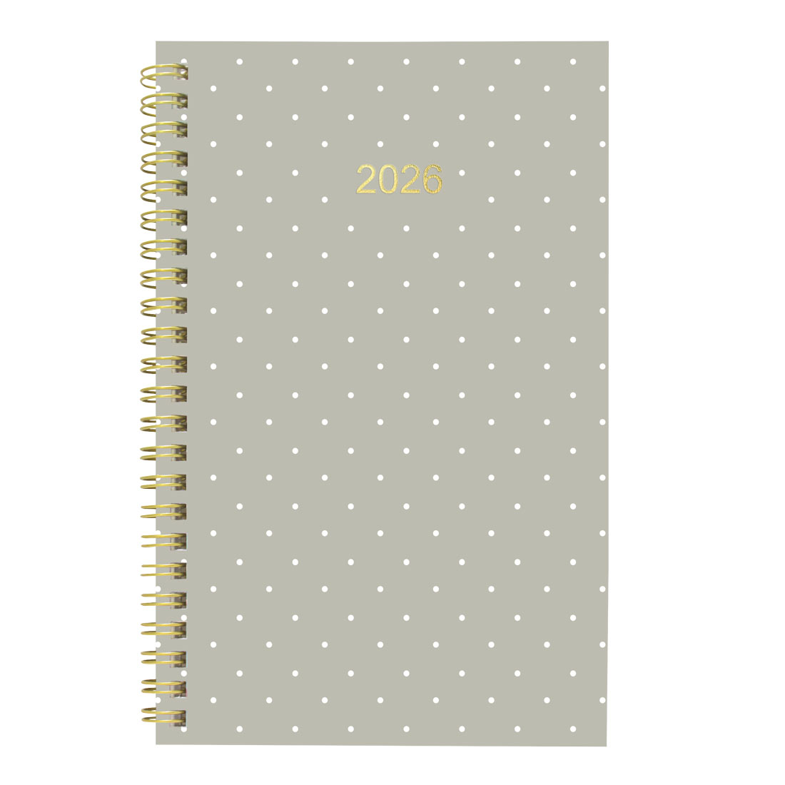 Blueline Minimalist Weekly/Monthly Planner 2026 C101PT.ASX-26