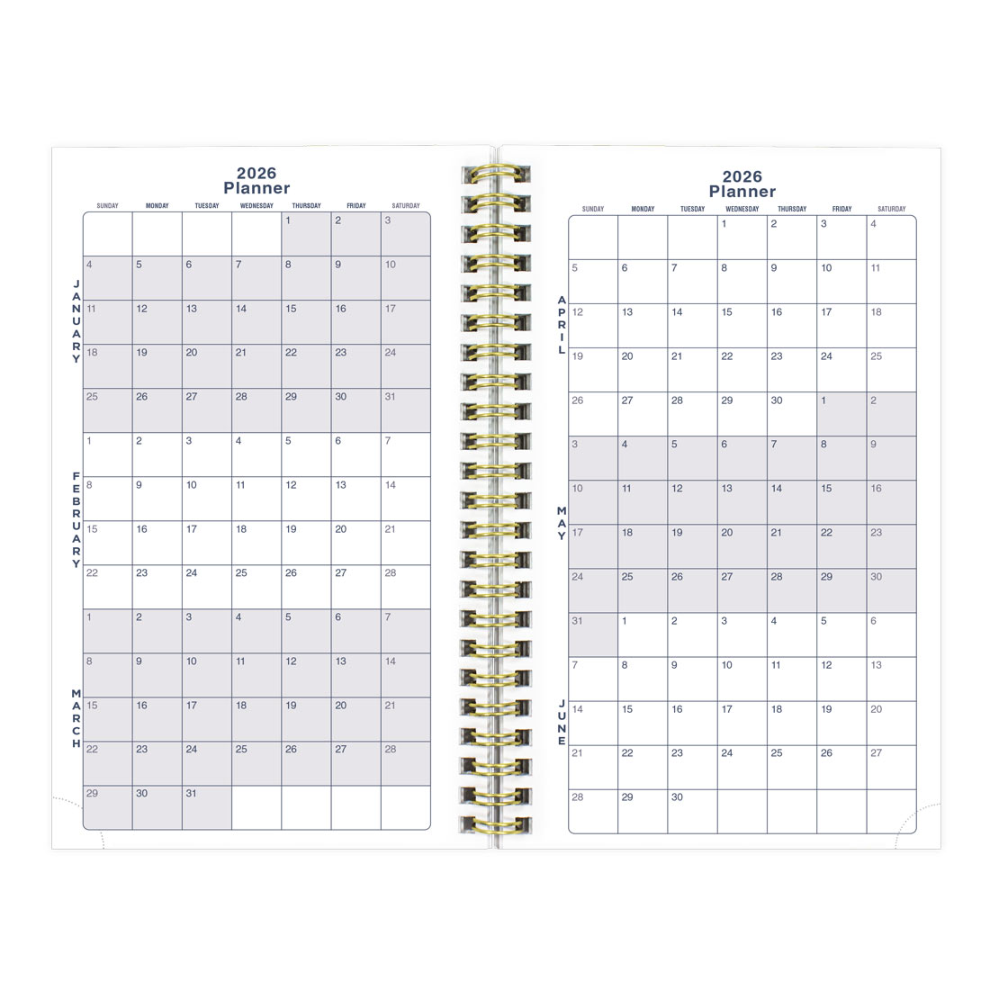 Blueline Minimalist Weekly/Monthly Planner 2026 C101PT.ASX-26