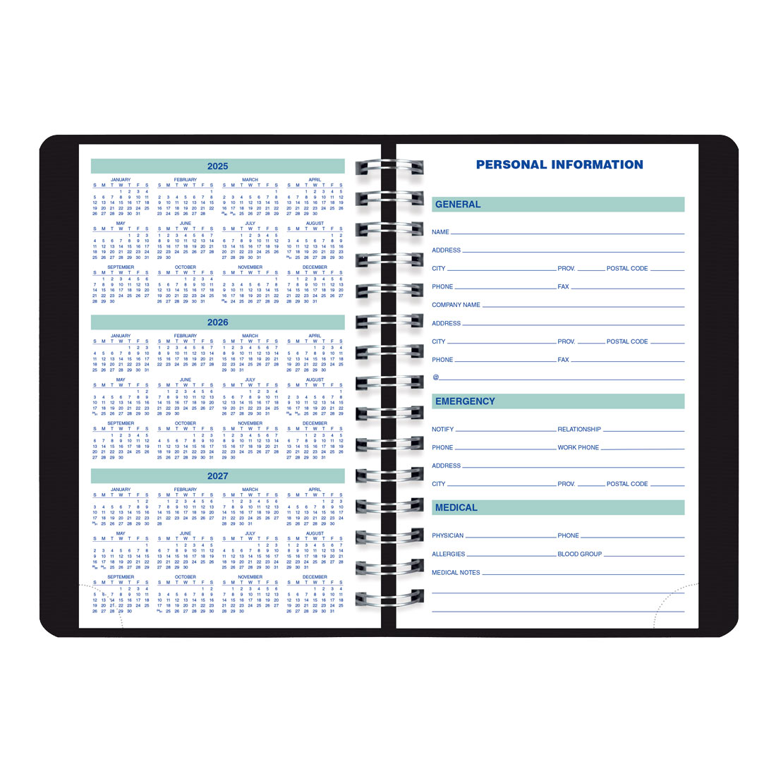 Blueline Essential Plan & Link™ Daily Planner, Black, 2026 C1504W.81-26