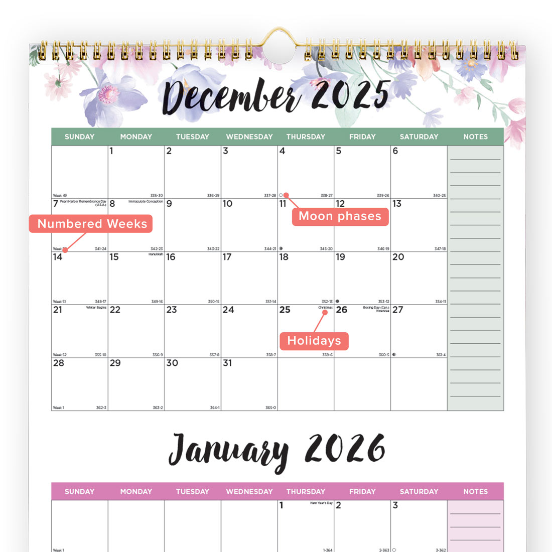 Blueline Colorful Three-Month Wall Calendar, 14 Months, Passion, 2026 C171129-26