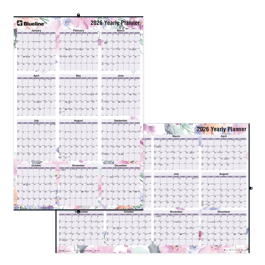 Blueline Colorful Laminated Yearly Wall Planner, Erasable - Reversible, Passion, 2026 C171920-26