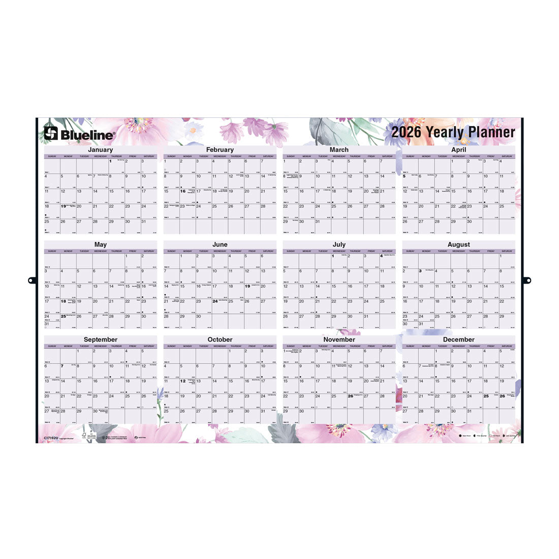 Blueline Colorful Laminated Yearly Wall Planner, Erasable - Reversible, Passion, 2026 C171920-26