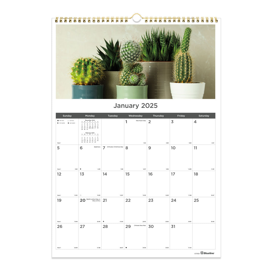 Succulent Plants Monthly Wall Calendar 2025 (C173121-25) | Rediform succulent-plants-monthly-wall-calendar-2025-c173121-25-rediform