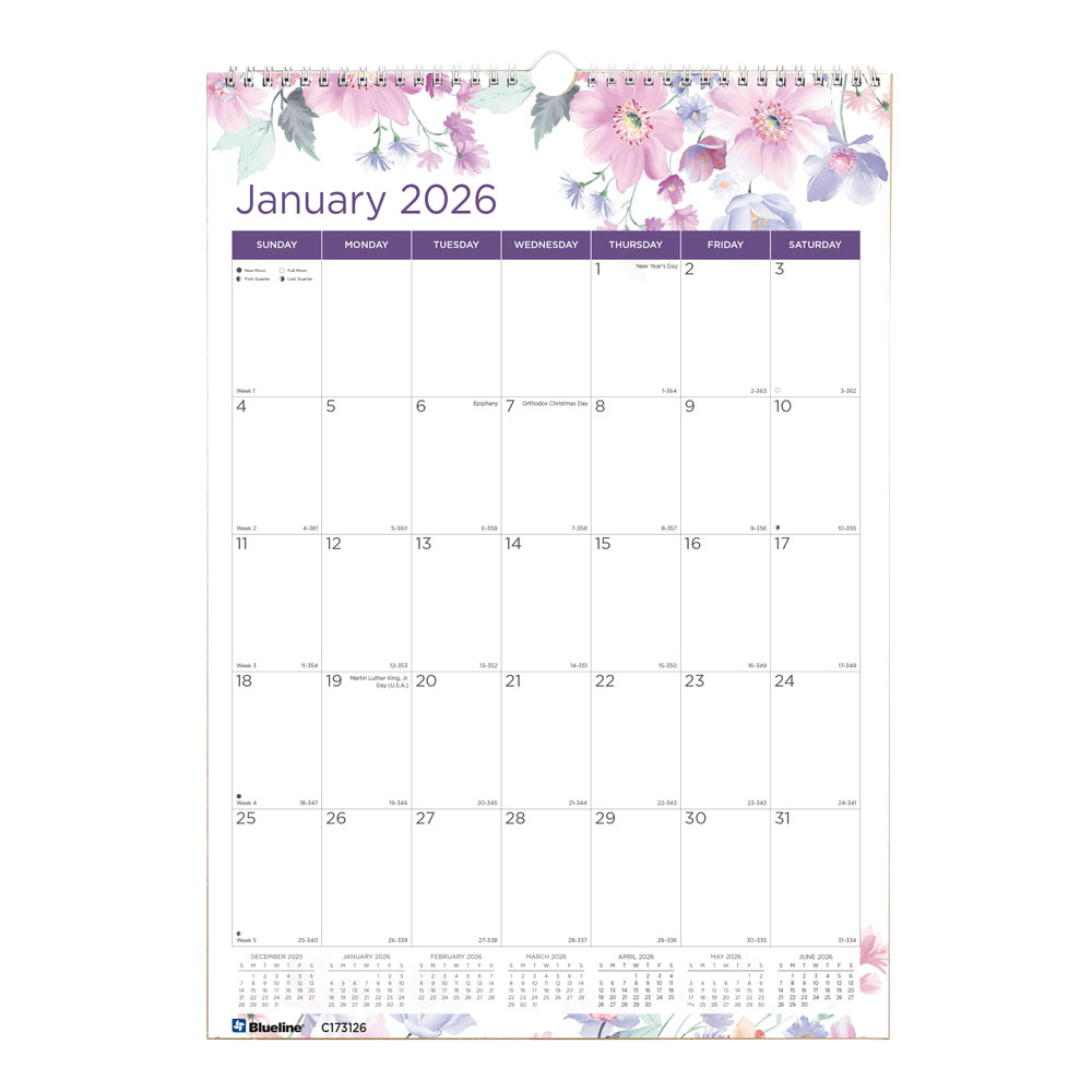 Blueline Colorful Monthly Wall Calendar, Passion, 2026 C173126-26