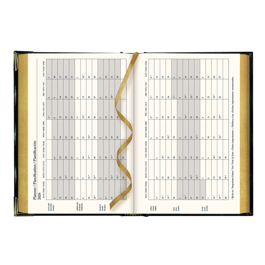 Brownline Executive Daily Planner, Black, 2026 CBE504.BLK-26