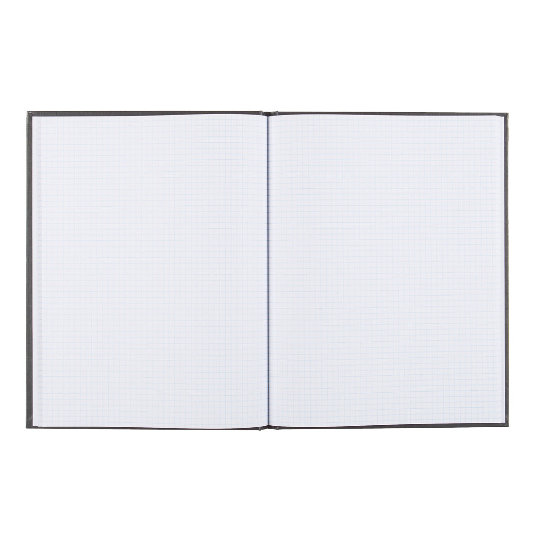 Laboratory Notebook 43591