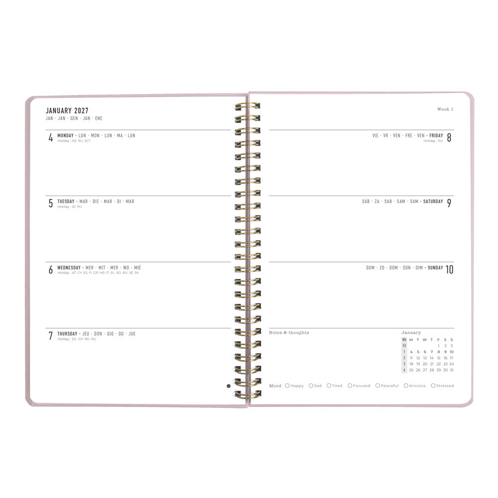 Letts A5 Weekly Planner, Celebrate, 2027 Rose 27-082185#color_celebrate-rose