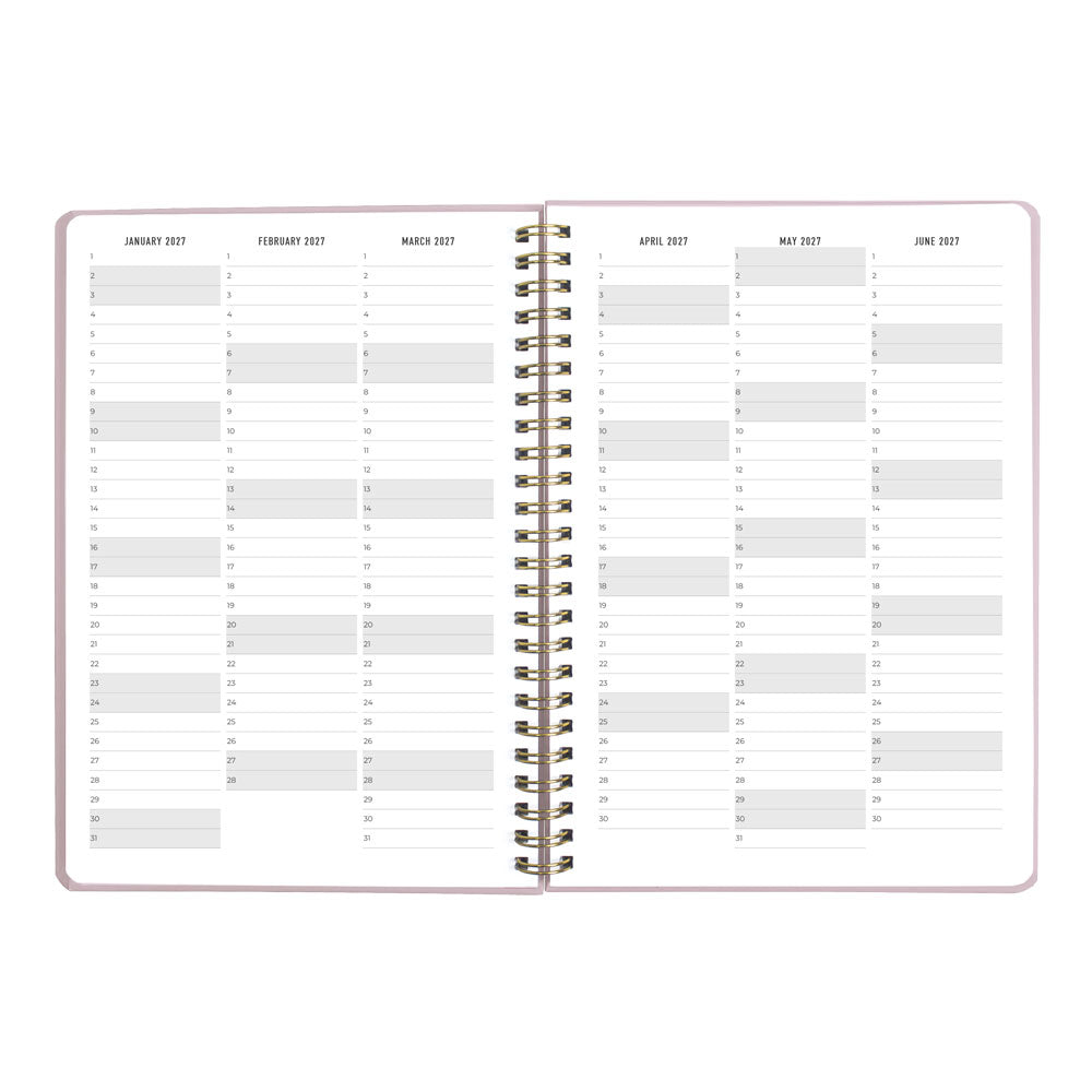 Letts A5 Weekly Planner, Celebrate, 2027 Rose 27-082185#color_celebrate-rose