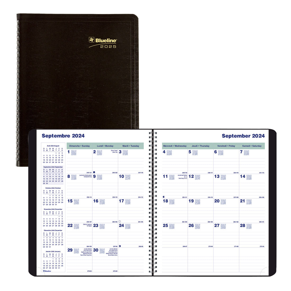 Essential Plan & Link™ Monthly Planner 2025, English, Black (C1200.81T-25)