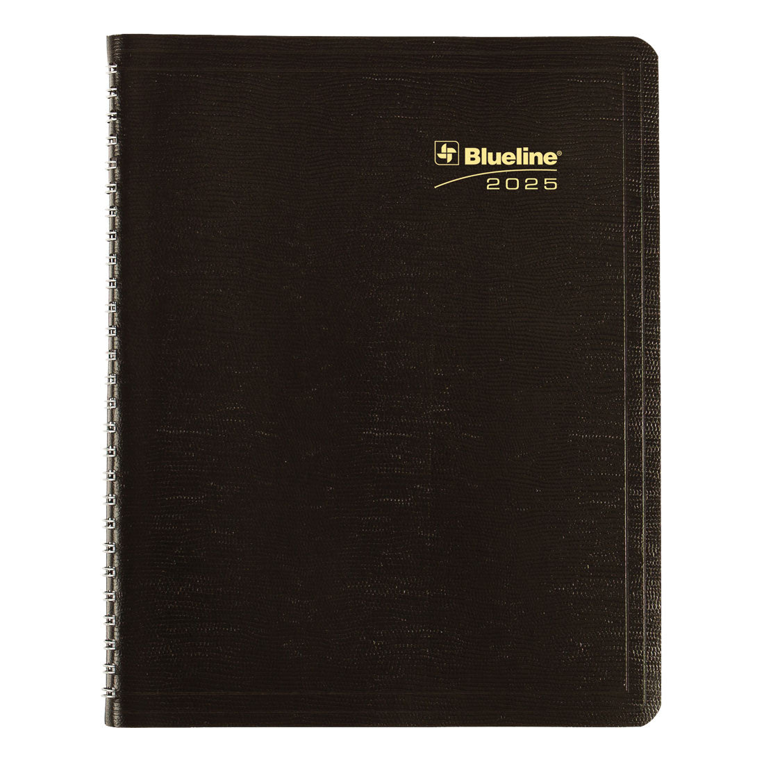 Essential Plan & Link™ Monthly Planner 2025, English, Black (C1200.81T-25)