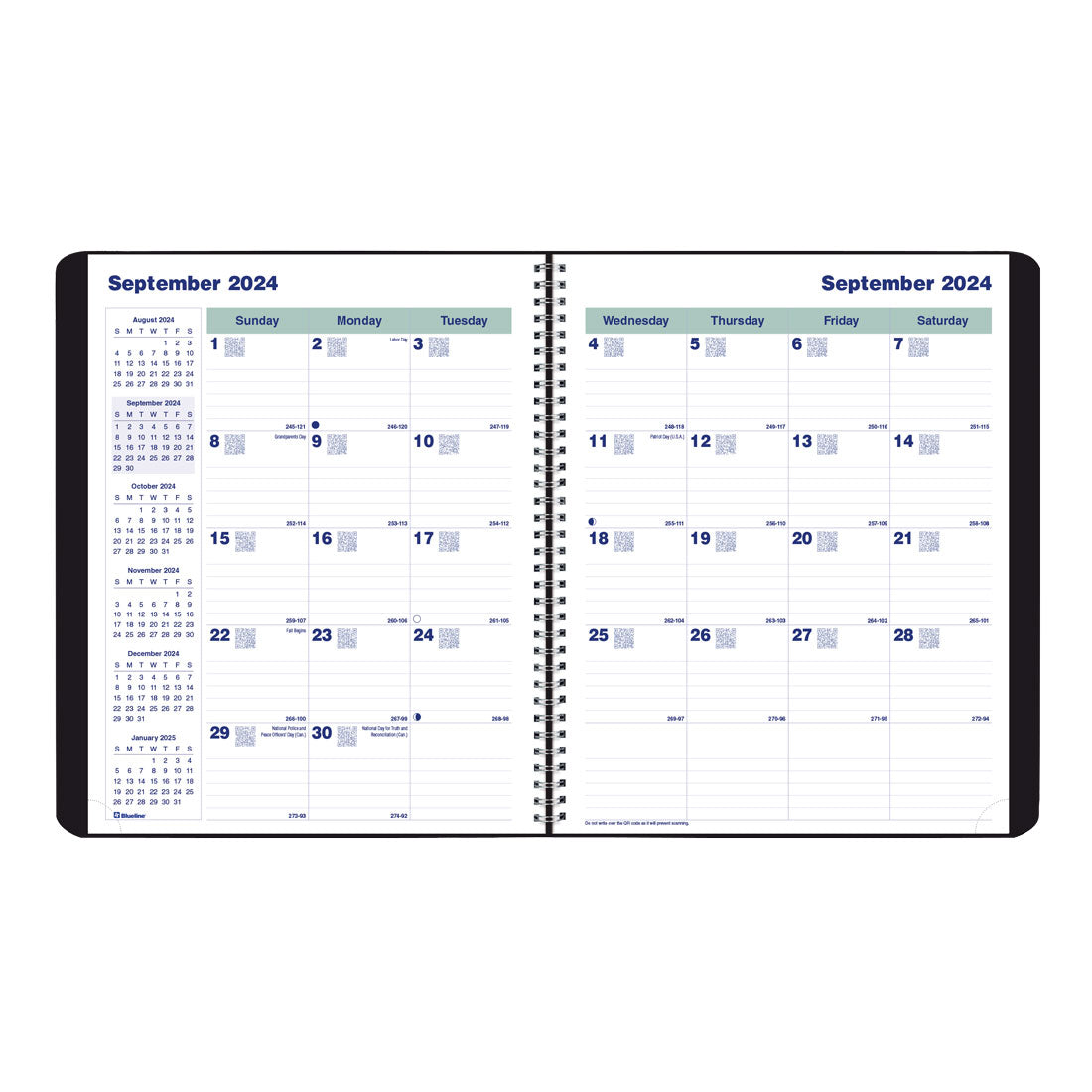 Essential Plan & Link™ Monthly Planner 2025, English, Black (C1200.81T-25)