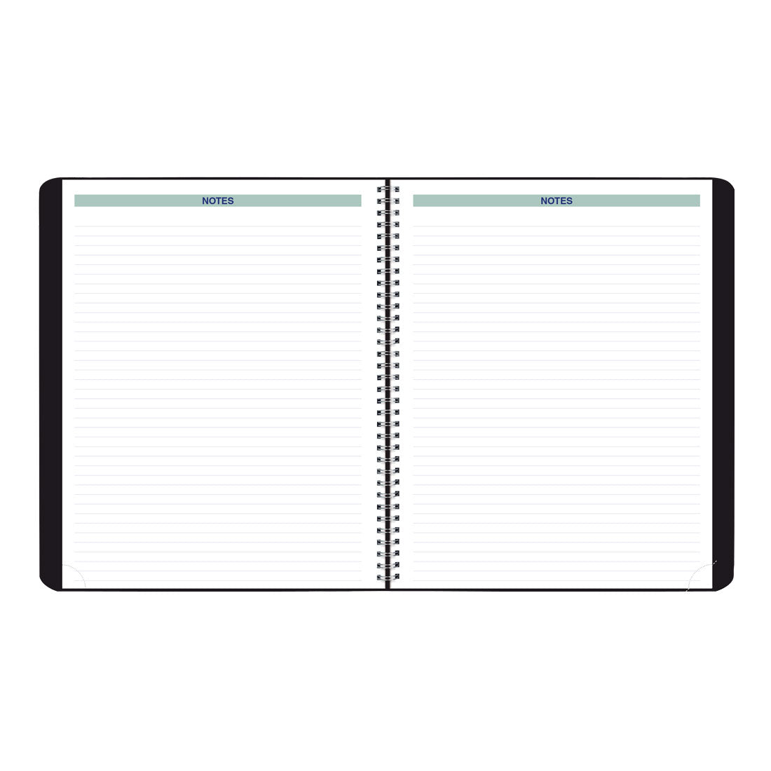 Essential Plan & Link™ Monthly Planner 2025, English, Black (C1200.81T-25)