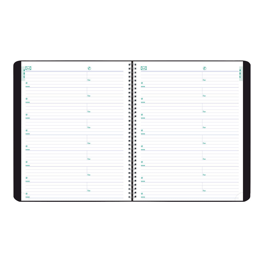 Essential Plan & Link™ Monthly Planner 2025, English, Black (C1200.81T-25)