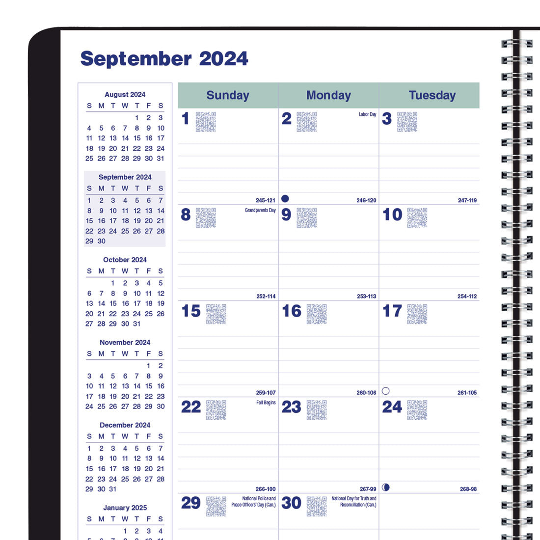 Essential Plan & Link™ Monthly Planner 2025, English, Black (C1200.81T-25)