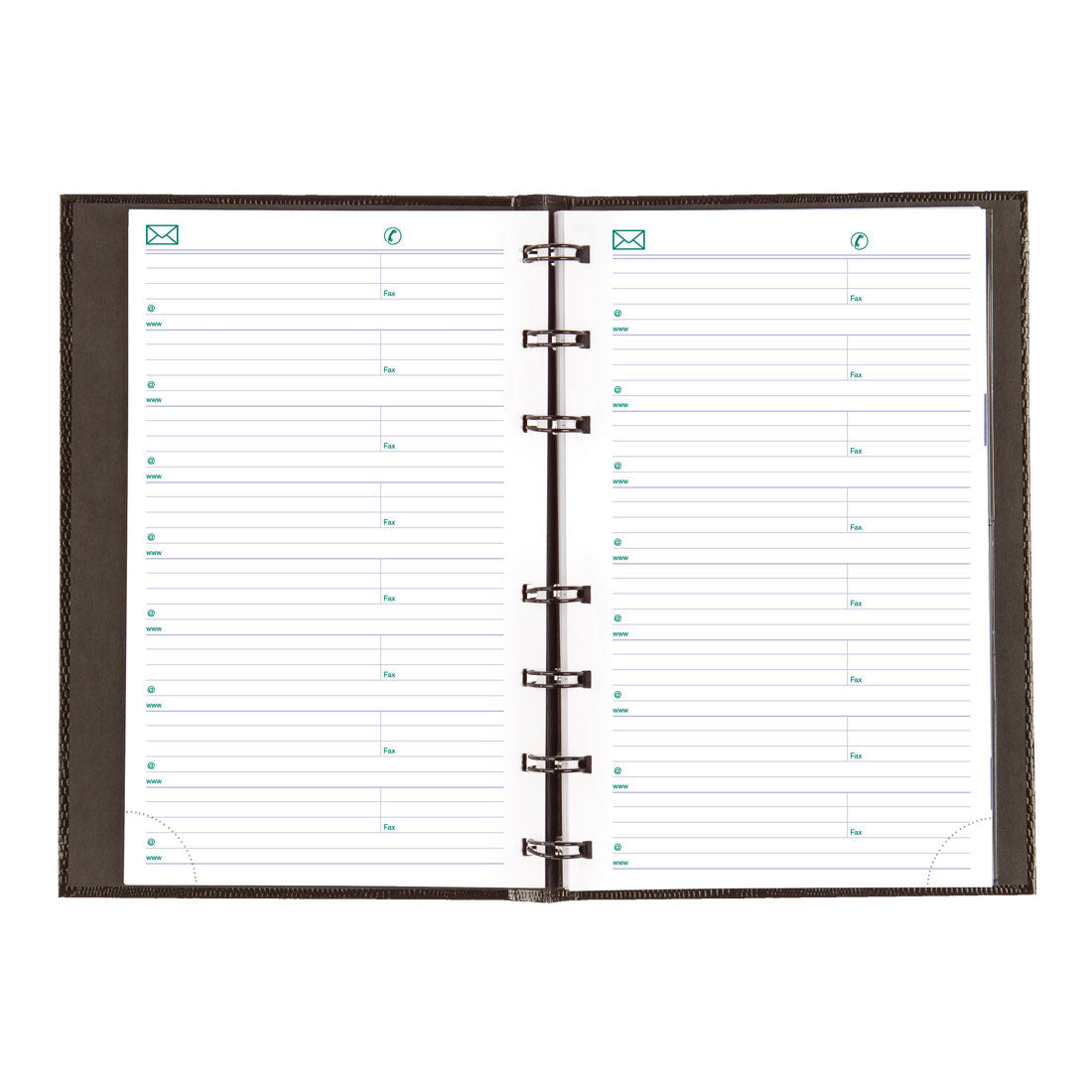 CoilPro™ Plan & Link™ Daily Planner 2025, English, Black (C1504C.81-25)