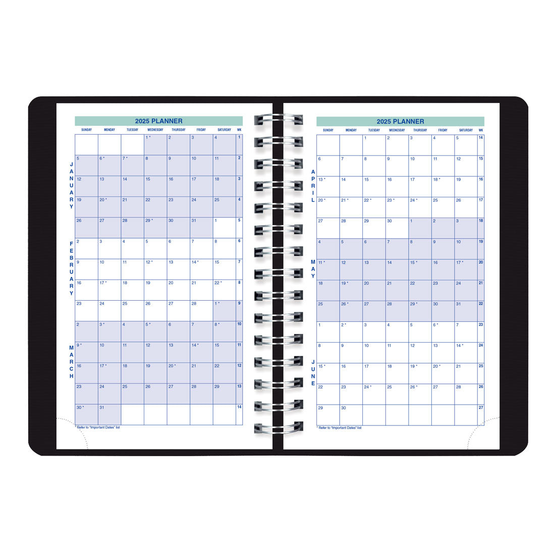 Essential Plan & Link™ Daily Planner 2025, English (C1504W.81-25)