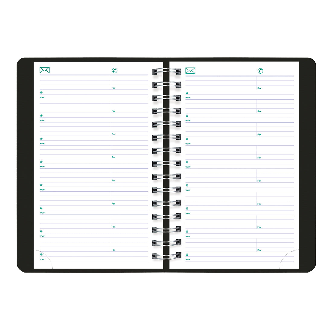 Blueline Plan & Link™ Daily Appointment Book, 2027 - Black C1504W.81-27