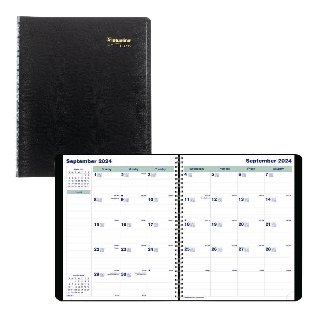 Essential Plan & Link™ Monthly Planner 2025, English, Black (C1512.81T-25)