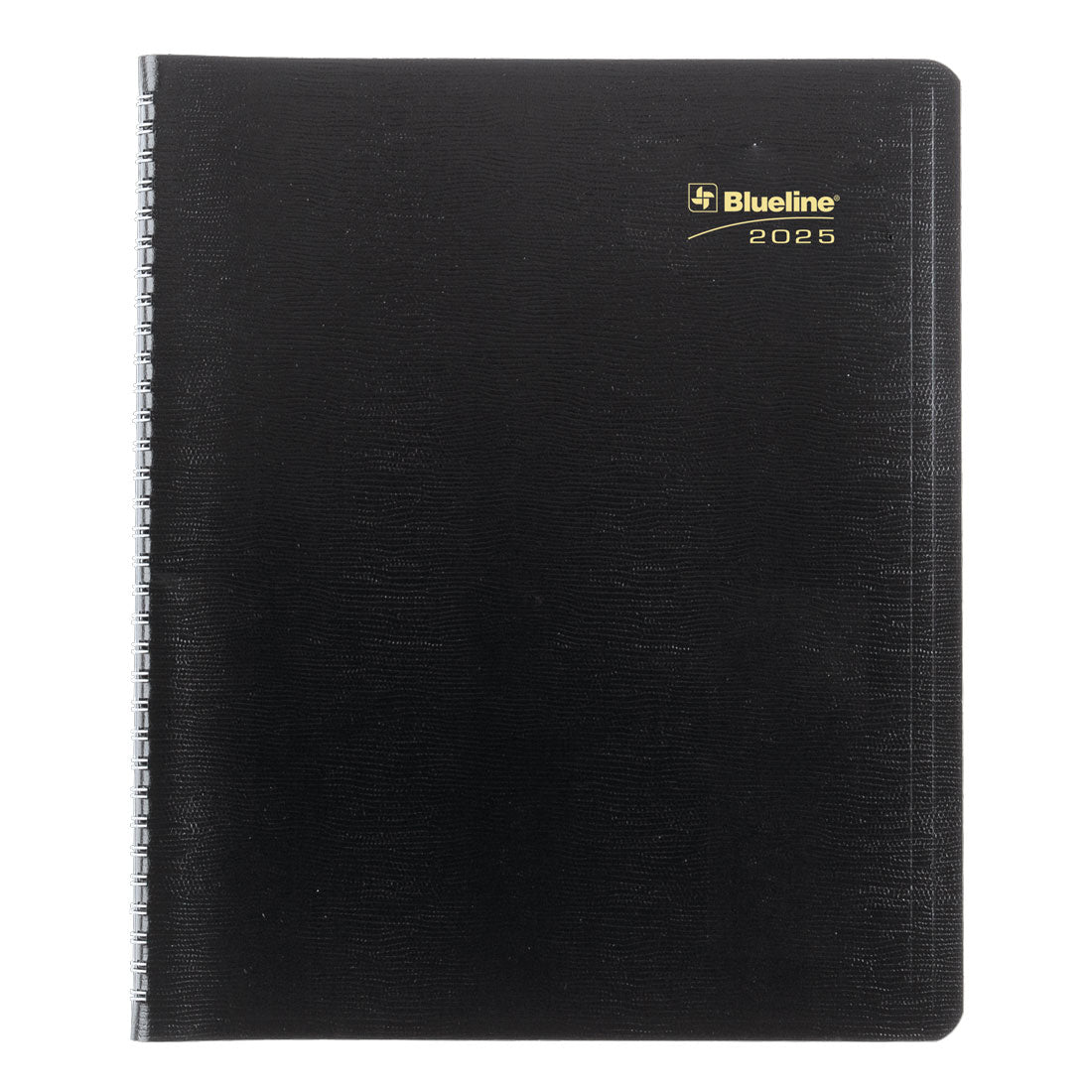 Essential Plan & Link™ Monthly Planner 2025, English, Black (C1512.81T-25)