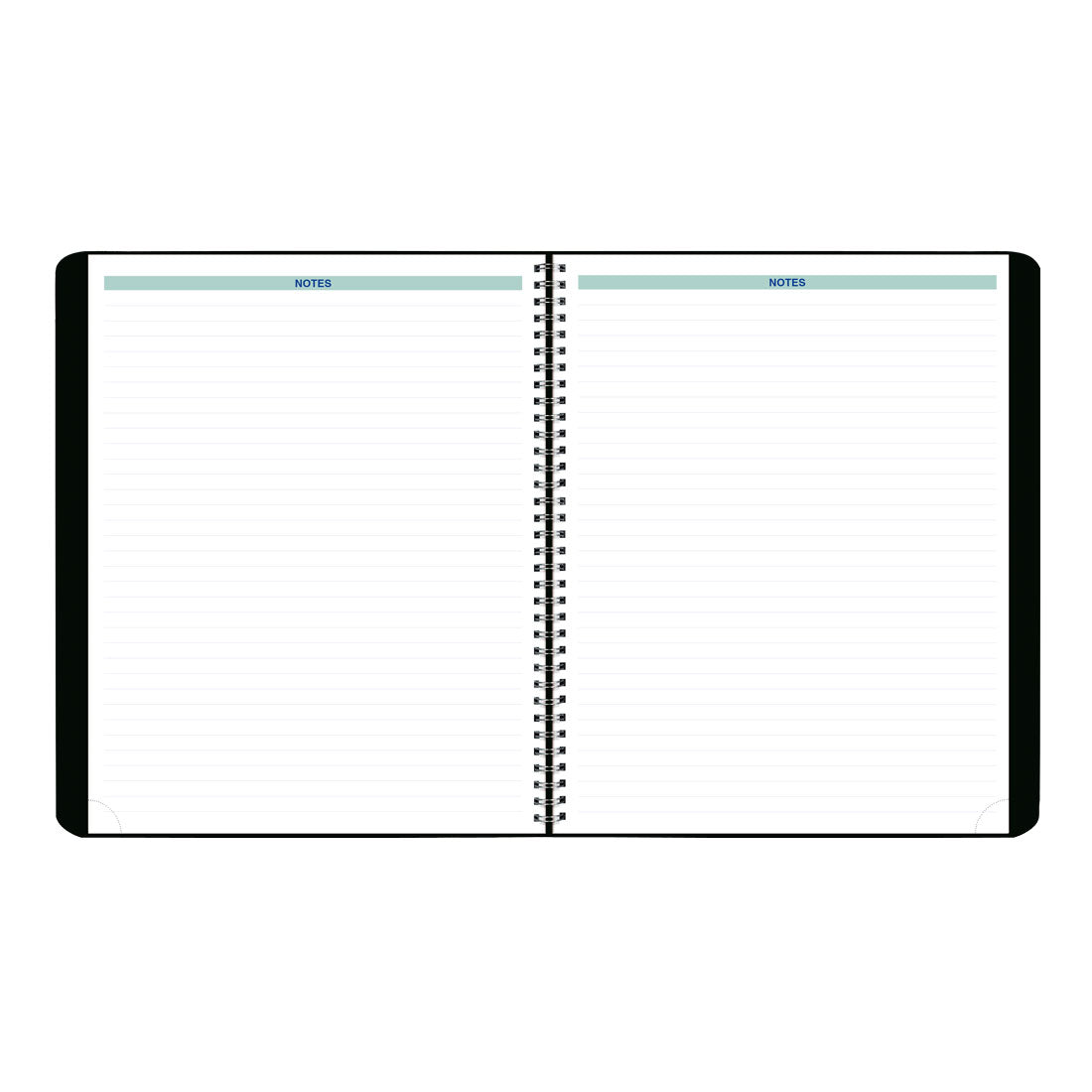 Essential Plan & Link™ Monthly Planner 2025, English, Black (C1512.81T-25)