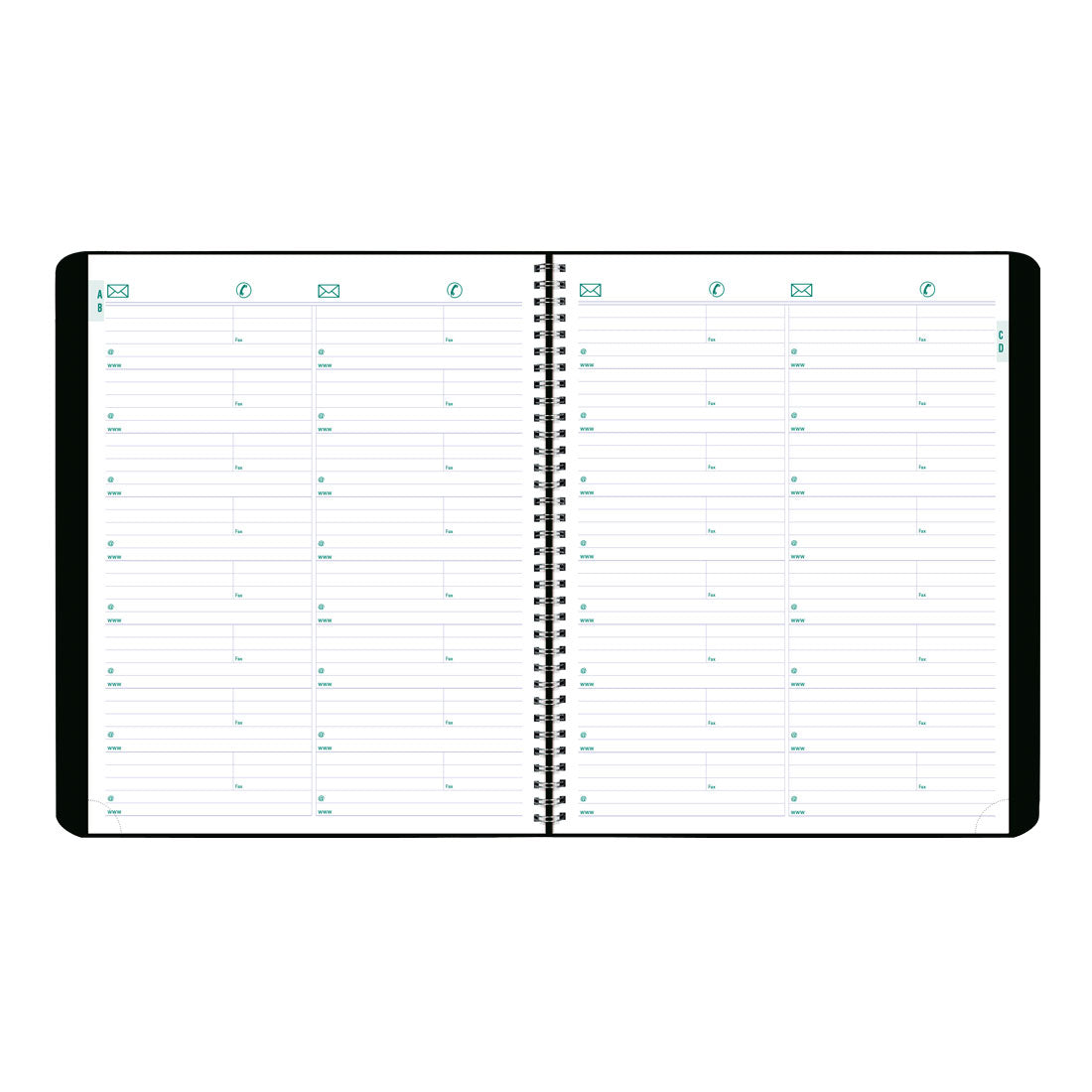 Essential Plan & Link™ Monthly Planner 2025, English, Black (C1512.81T-25)