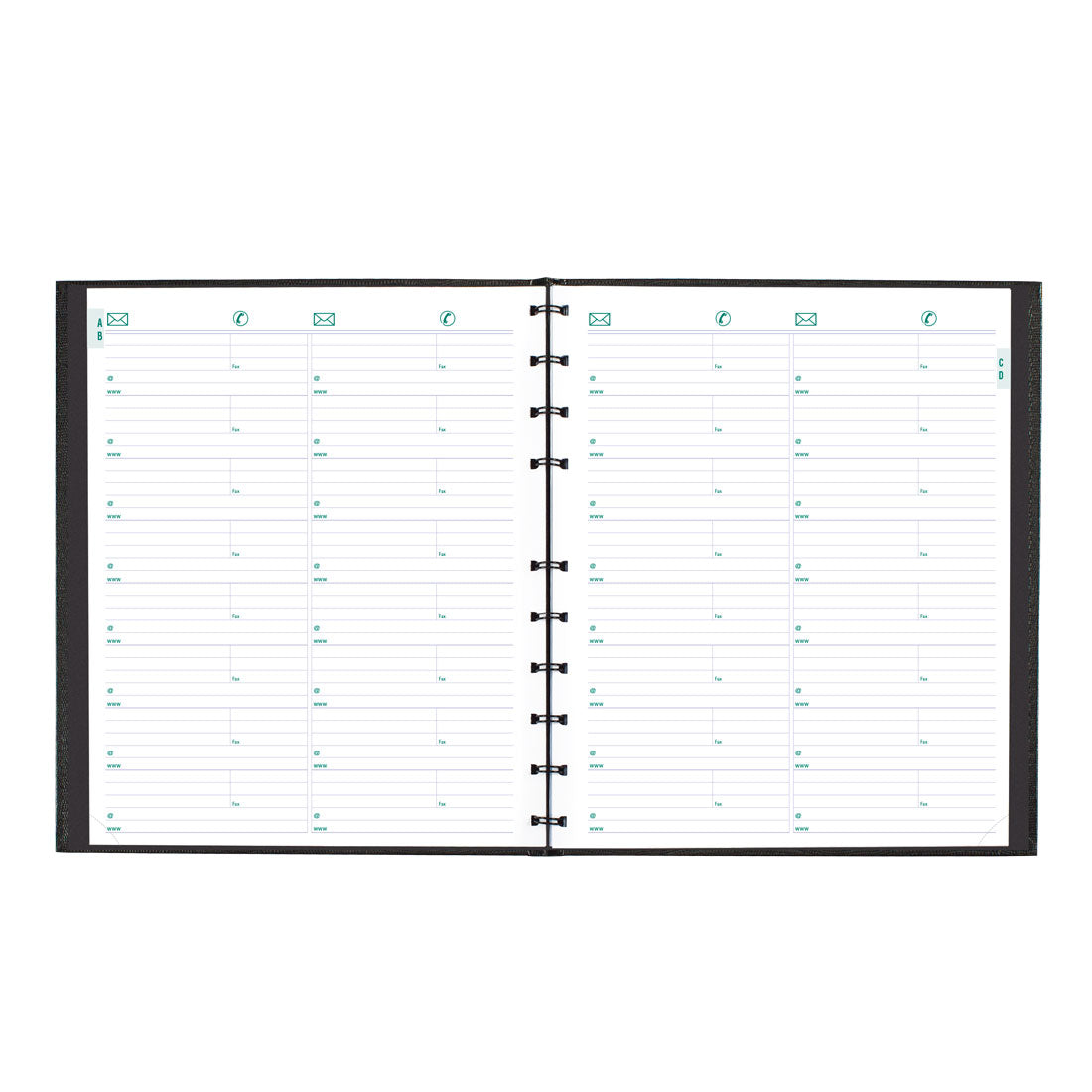 CoilPro™ Plan & Link™ Monthly Planner 2025, English, Black (C1512C.81-25)