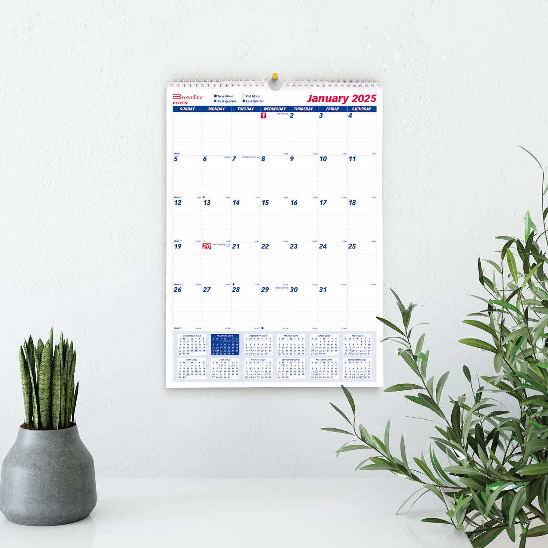 Monthly Wall Calendar 2025 (C171102-25)