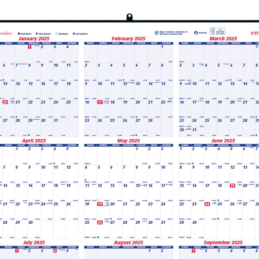 Yearly Wall Calendar 2025 (C172212-25)