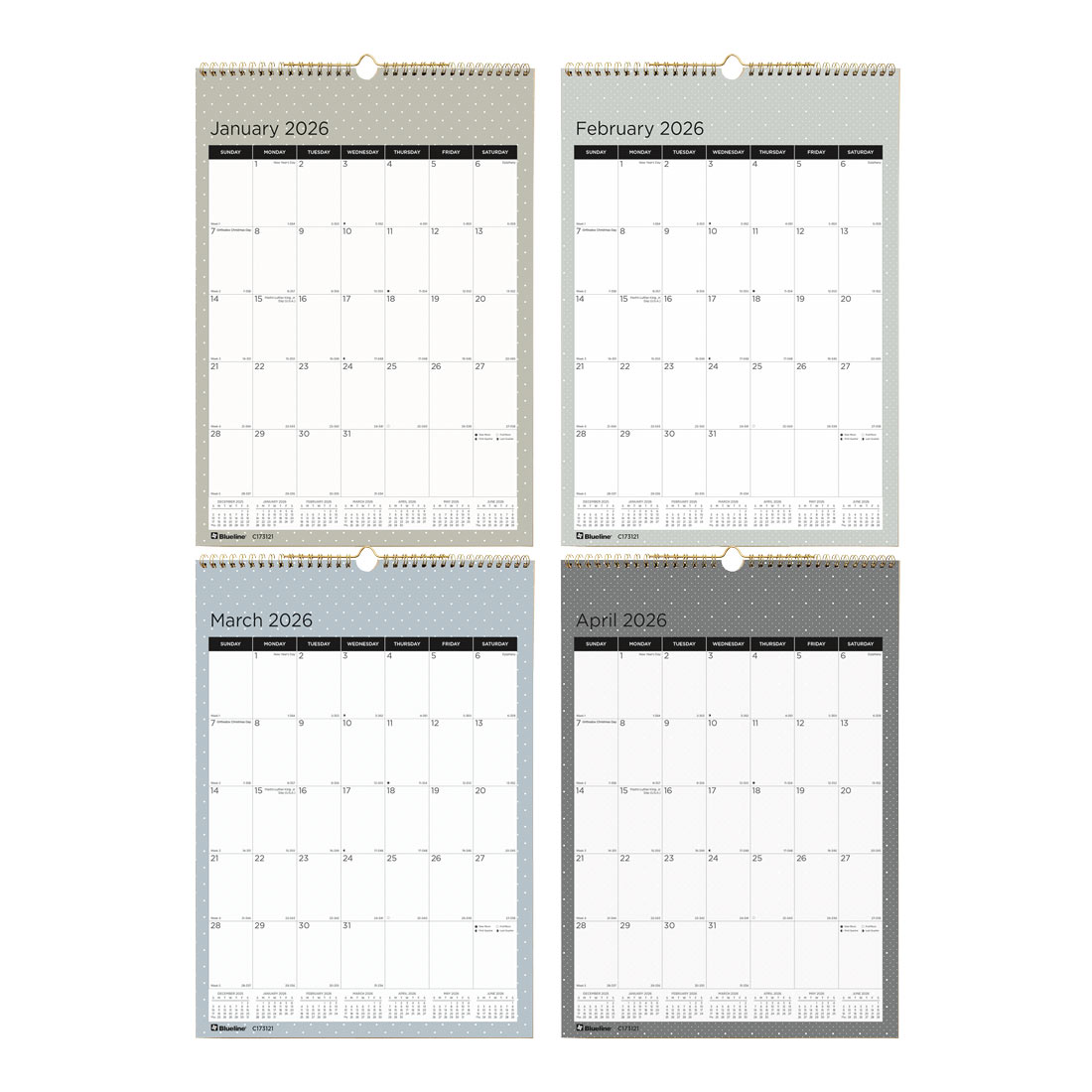 Blueline Colorful Monthly Wall Calendar, Minimalist, 2026 C173121-26