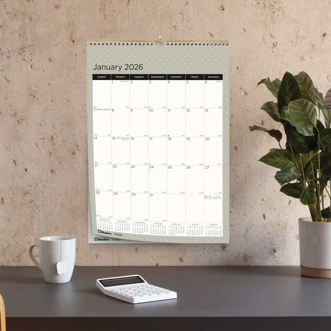 Blueline Colorful Monthly Wall Calendar, Minimalist, 2026 C173121-26