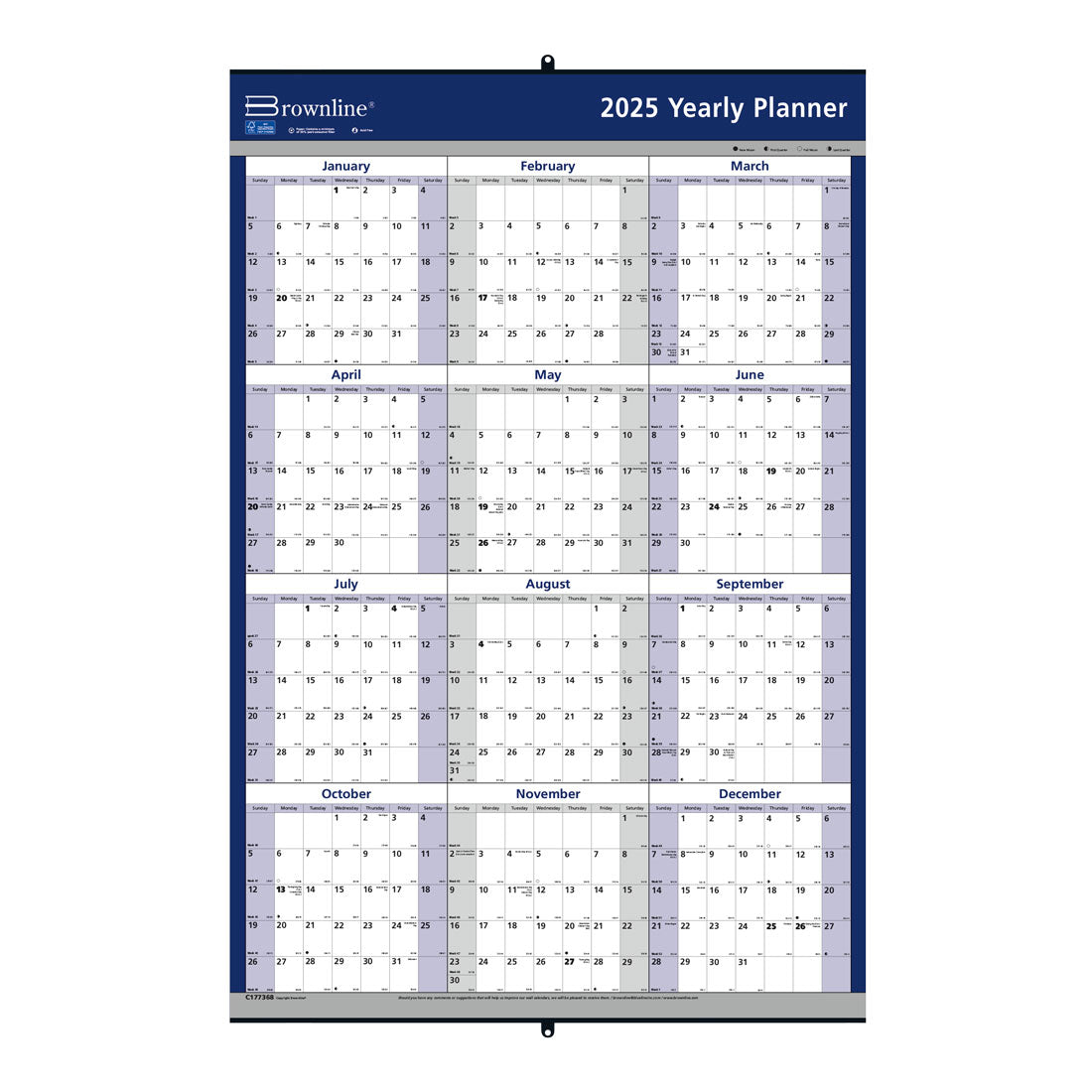 Laminated Yearly Wall Calendar 2025 (C177368-25)