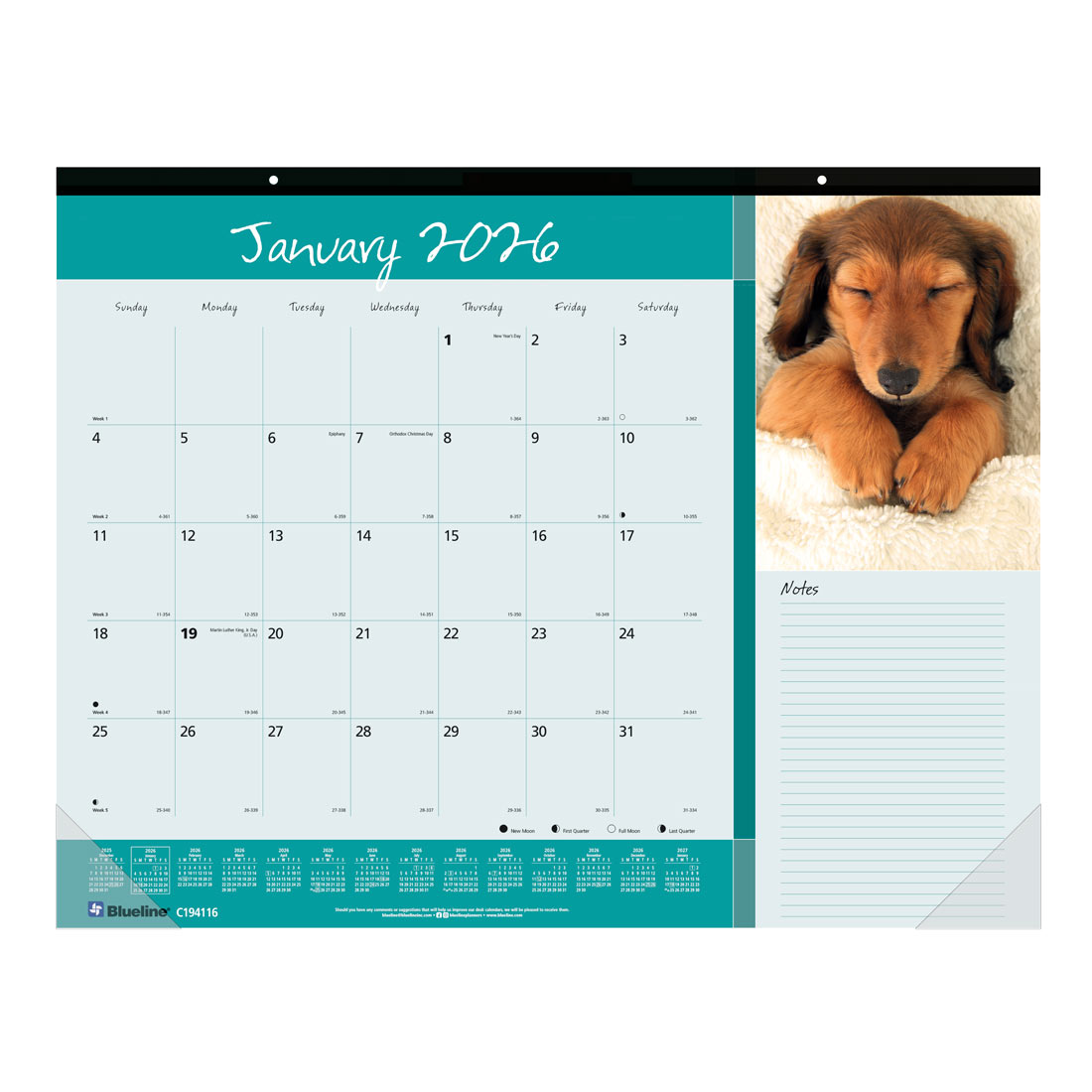 Blueline Man's Best Friend Monthly Desk Pad Calendar, 2026 C194116-26
