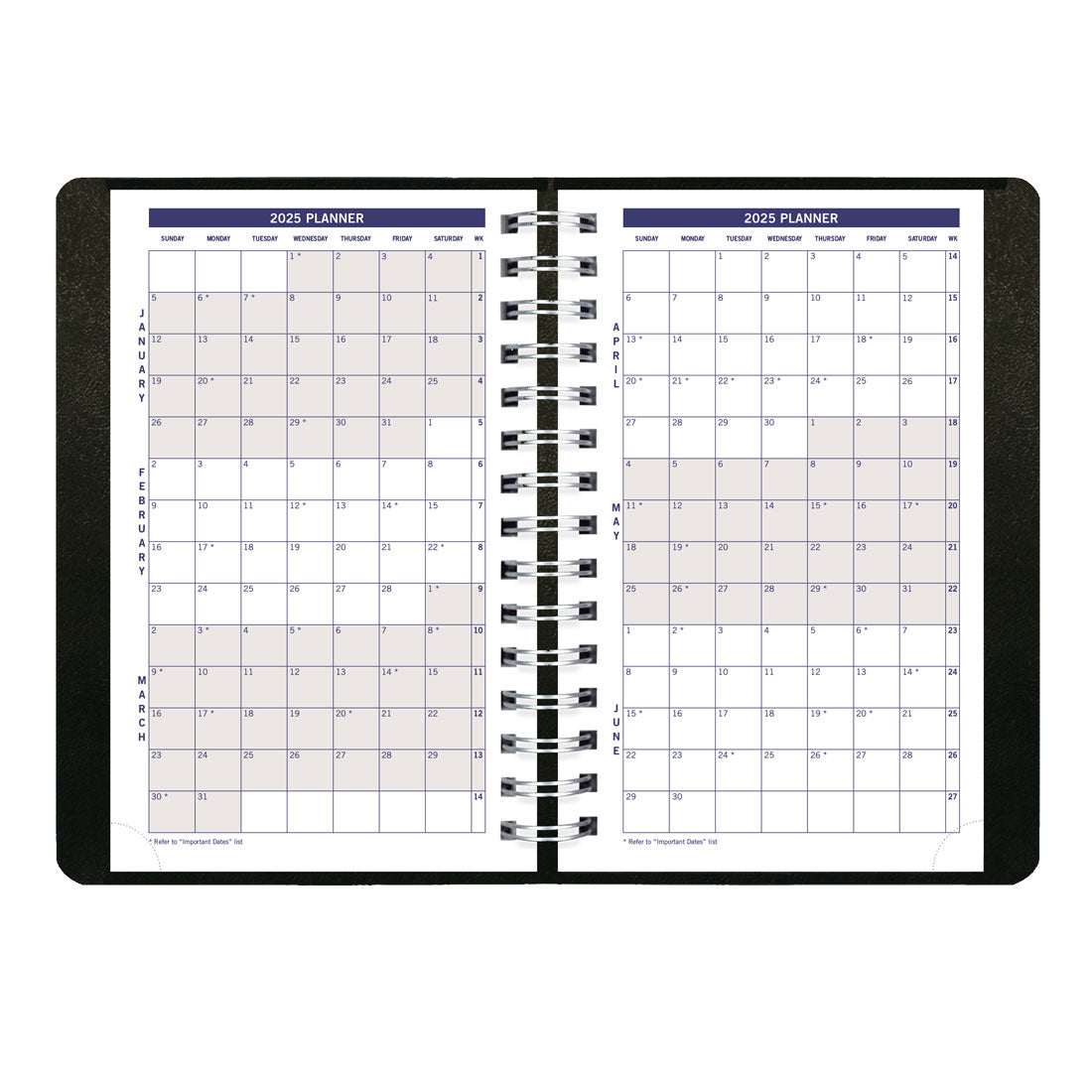 DuraGlobe™ Daily Planner 2025, English, Black, C210.21T