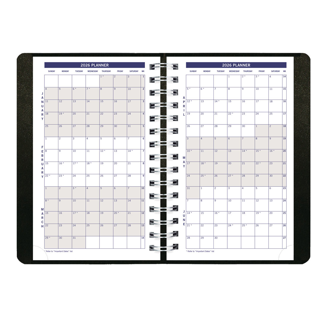 Blueline DuraGlobe™ Daily Planner, Black, 2026 C210.21T-26
