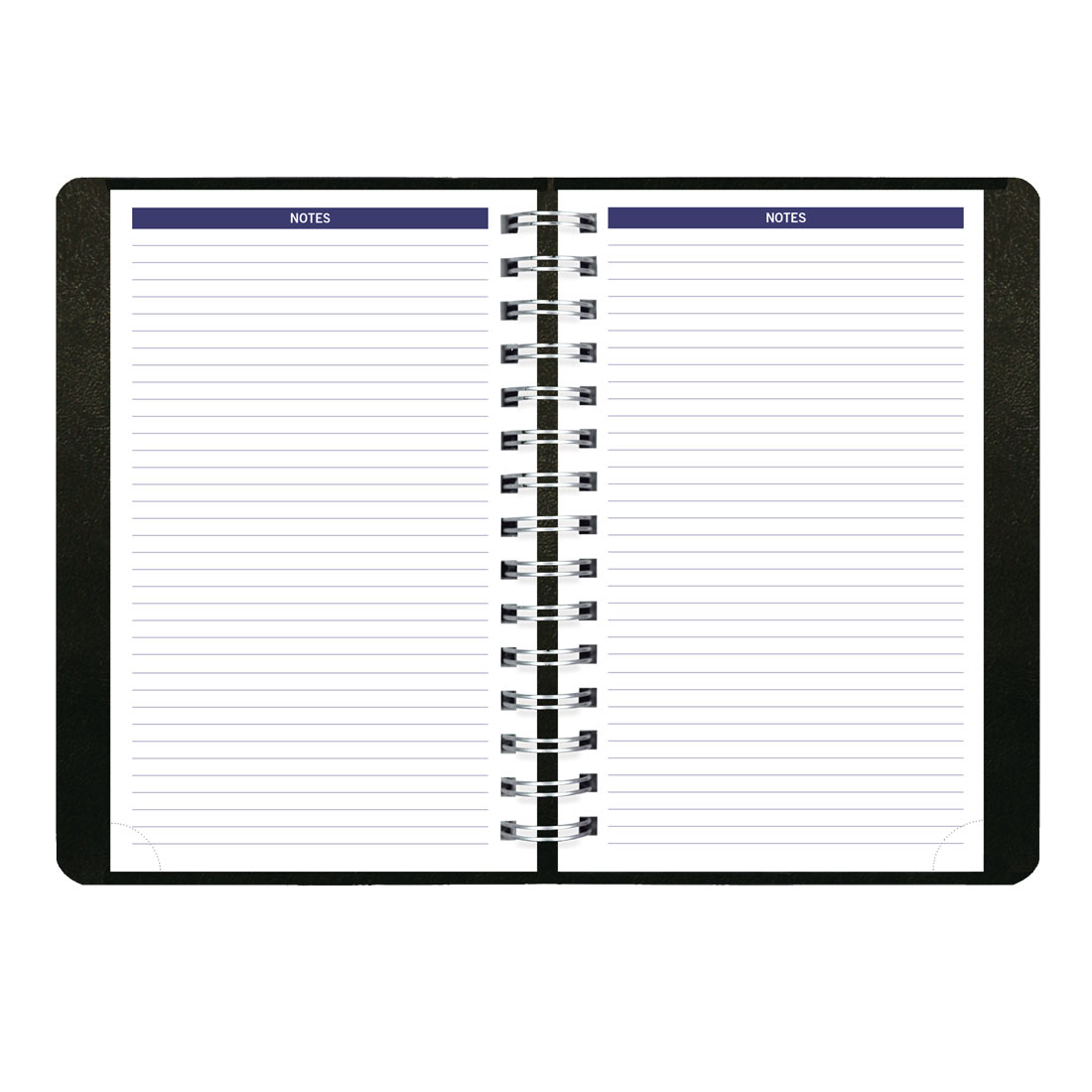 Blueline DuraGlobe™ Daily Planner, Black, 2026 C210.21T-26