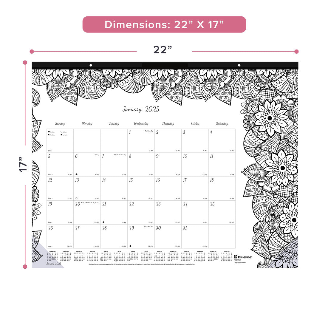 DoodlePlan™ Coloring Desk Pad 2025 (C2917311-25)