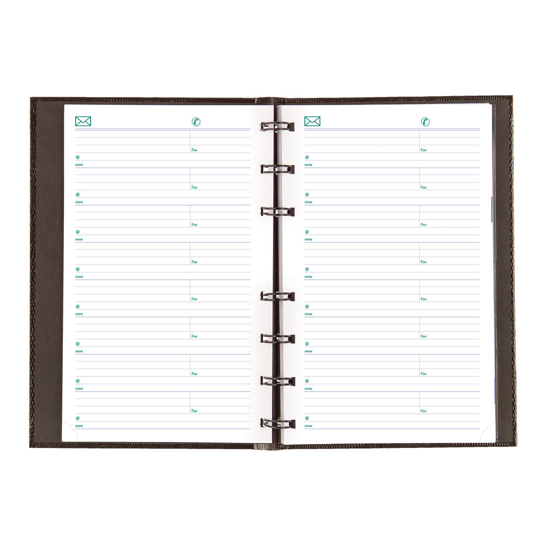 CoilPro™ Plan & Link™ Weekly Planner 2025, English, Black (C5075C.81-25)