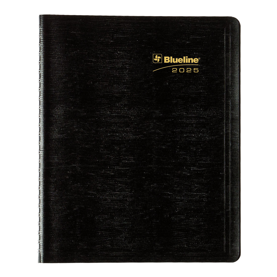 Essential Plan & Link™ Weekly Planner 2025, English, Black (C5275.81T-25)