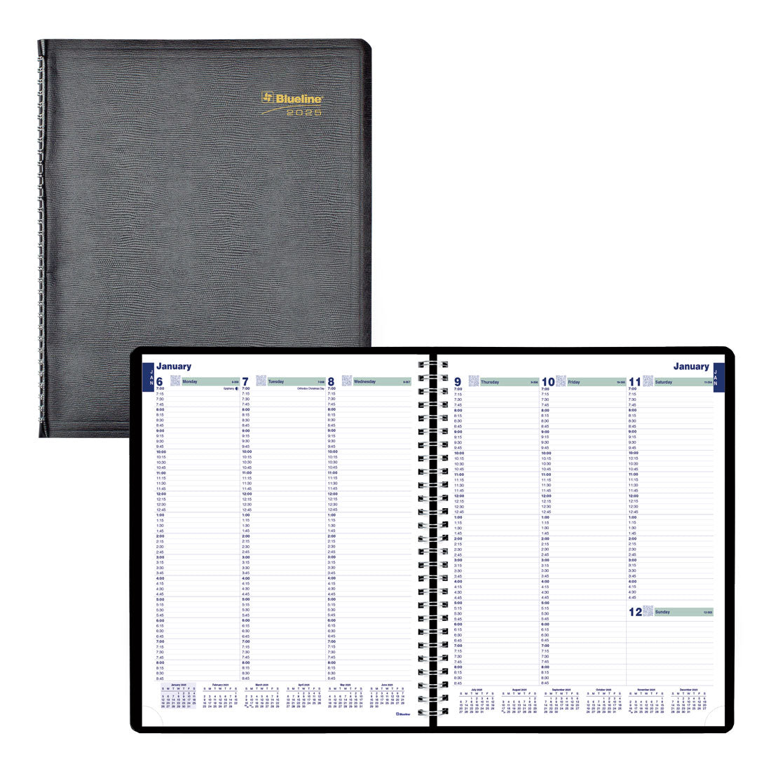 Essential Plan & Link™ Weekly Planner 2025, English, Black (C5950.81T-25)