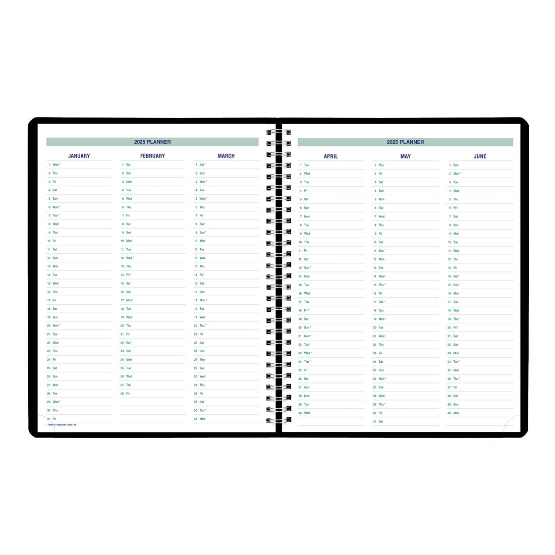 Essential Plan & Link™ Weekly Planner 2025, English, Black (C5950.81T-25)