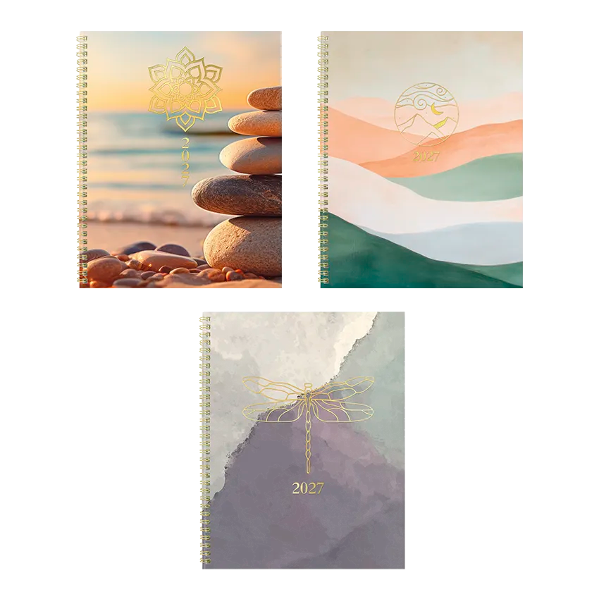 Minimalist Monthly Planner, 2027, 14 Months, Assorted Designs C701PT.ASX-27 Blueline