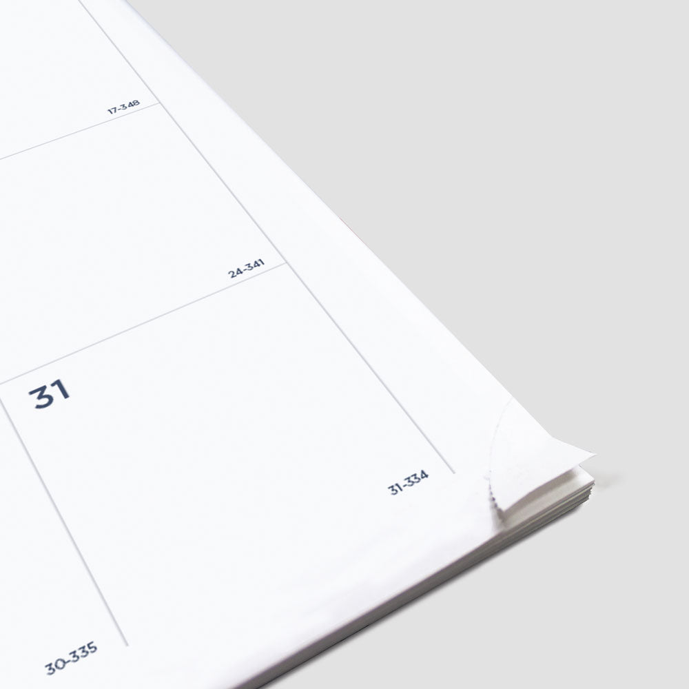Minimalist Monthly Planner, 2027, 14 Months, Assorted Designs C701PT.ASX-27 Blueline