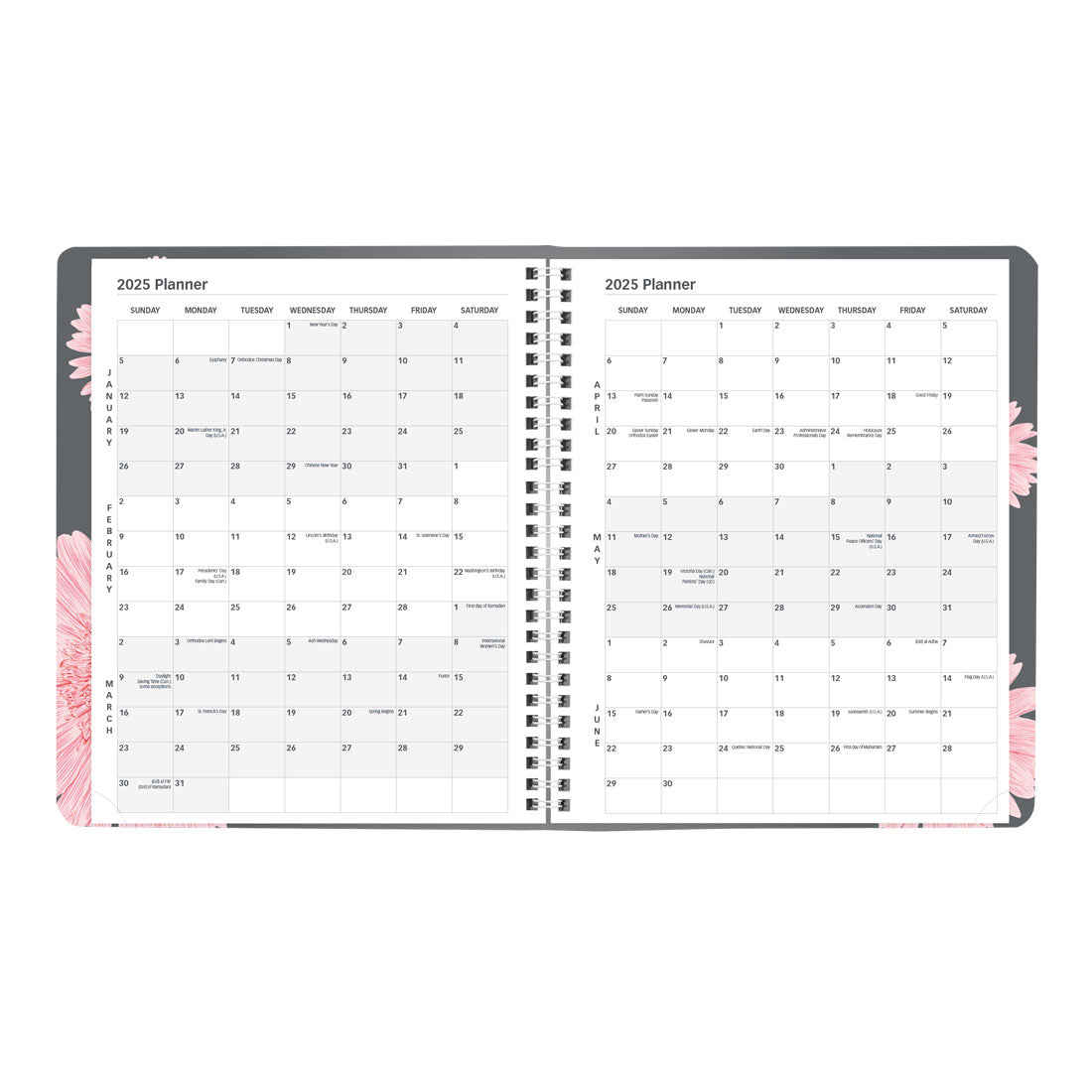 Pink Daisy Monthly Planner 2025 (CB1200G.05-25)