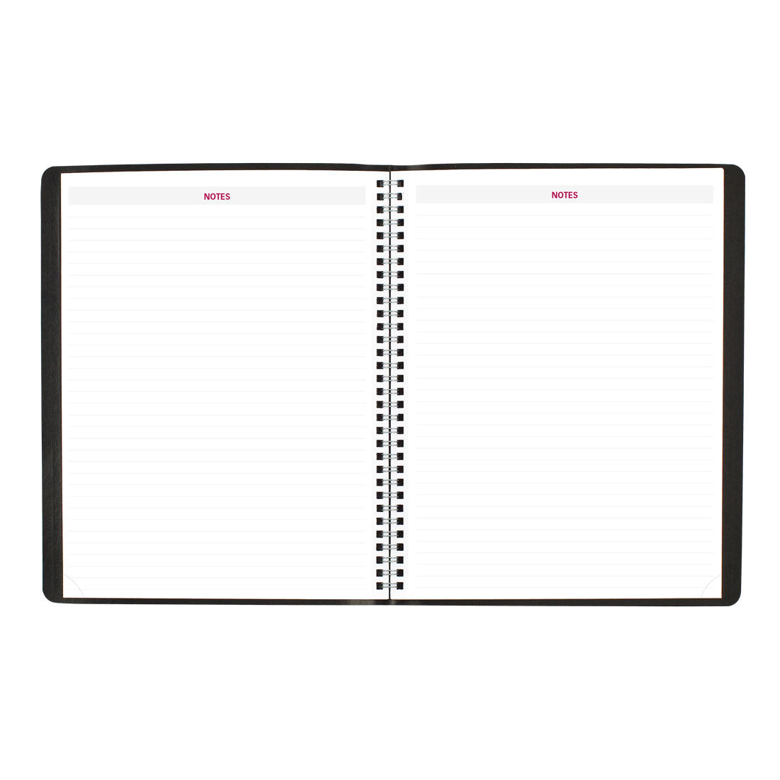 Essential Monthly Planner 2025, English, Black, CB1262.BLK