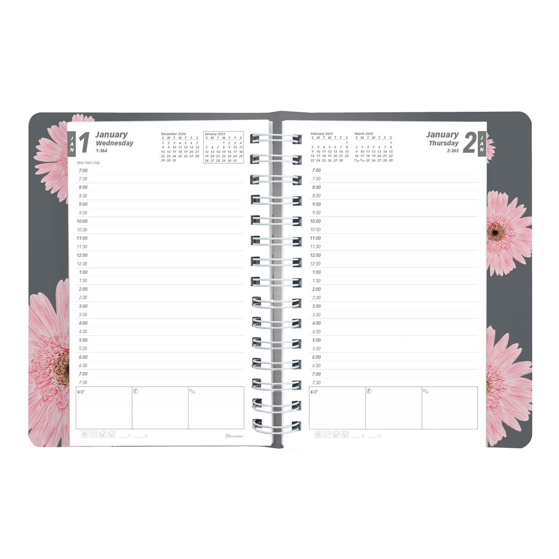 Pink Daisy Daily Planner 2025 (CB634G.05-25)