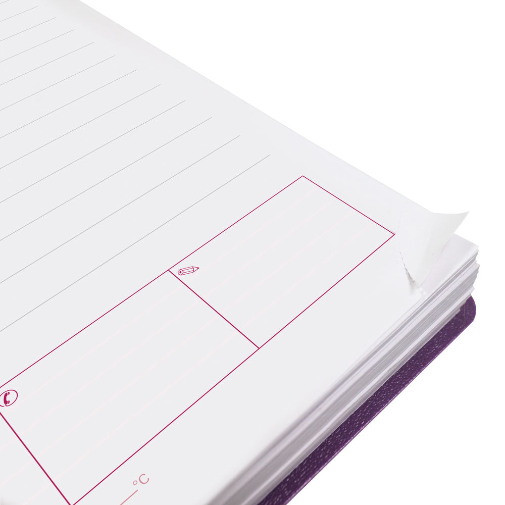 DuraFlex Daily/Monthly Appointment Book, 2027 Purple CB634V.PUR-27 Brownline#color_purple